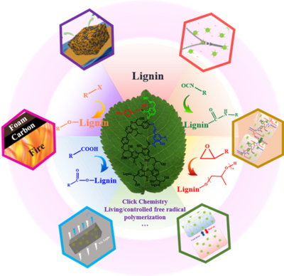 宁波材料所朱锦研究员/加拿大多伦多大学颜宁教授在《Macromolecular Rapid Communications》发表综述“木质素聚氨酯的研究进展与展望”