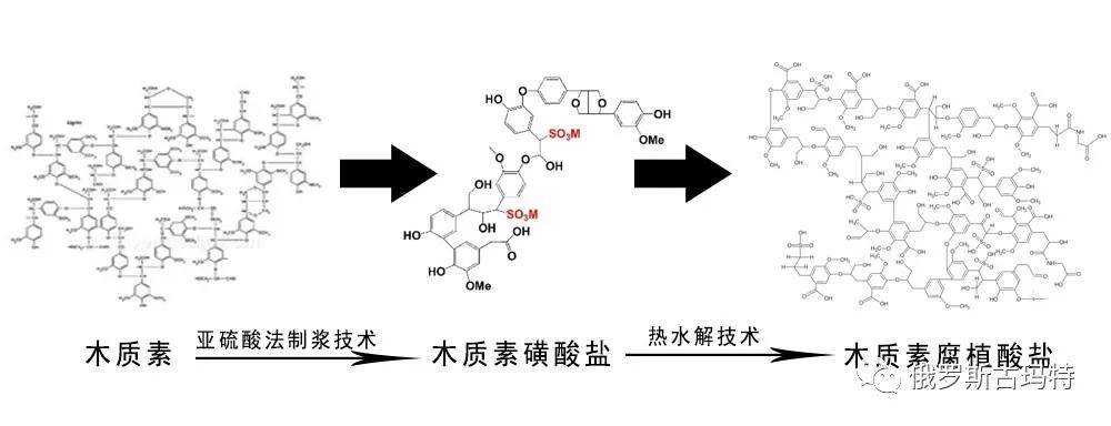 木质素,木质素磺酸盐和木质素腐植酸盐的关系_生物