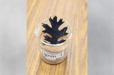 美国橡树岭国家实验室:新型复合材料推动木质素作为可再生3D打印材料