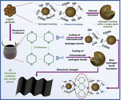 南京林业大学韩景泉教授课题组《AFM》:可应用于蒸汽发电的高性能木质素-木材太阳能驱动蒸发器