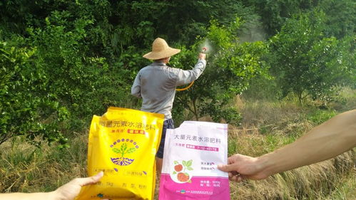 施茂吉r硼镁锌 德国进口原料,有机木质素螯合,效果就是不一样