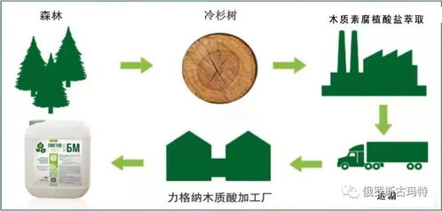 木质素 木质素磺酸盐和木质素腐植酸盐的关系
