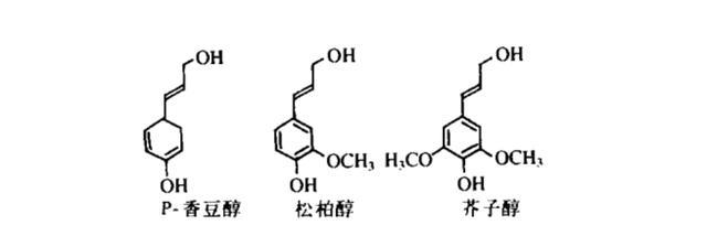 是什么让我们的纸张变黄?